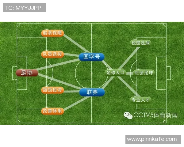日本足球明星在国际足坛的地位是否被低估了与其发展潜力分析